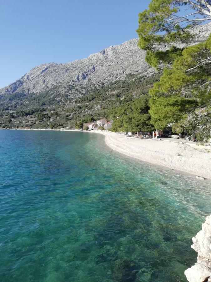 Apartment Villa Bajna Živogošće Εξωτερικό φωτογραφία