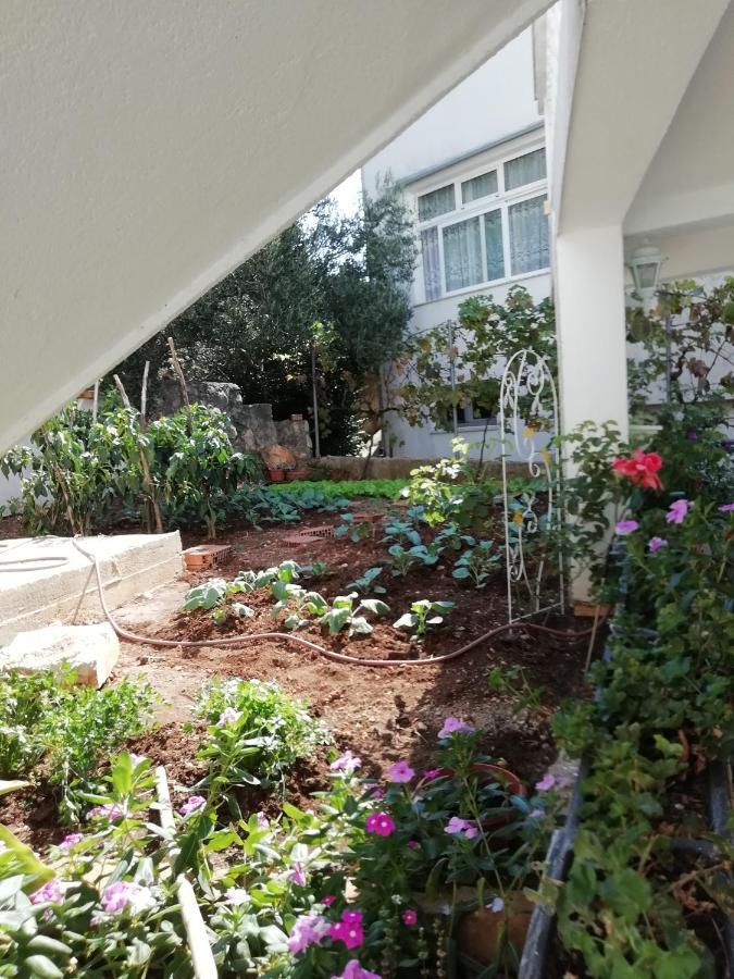 Apartment Villa Bajna Živogošće Εξωτερικό φωτογραφία